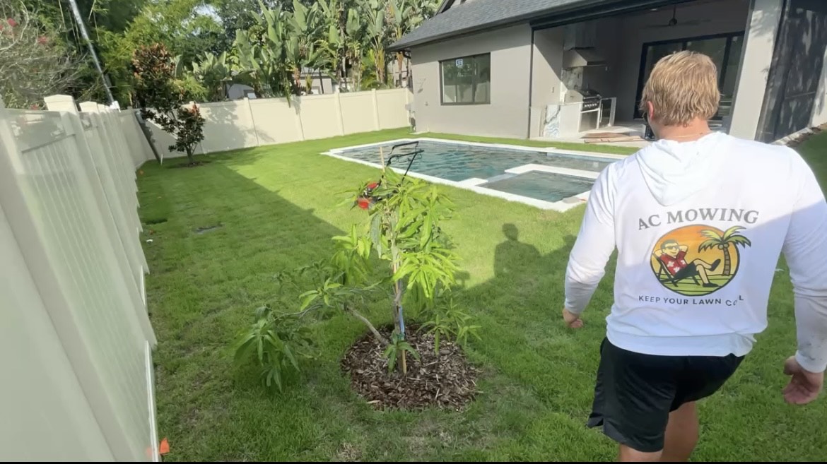 Landscaping project photo 8